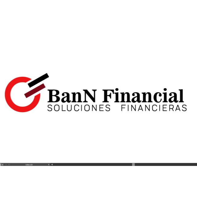 BANN FINANCIAL